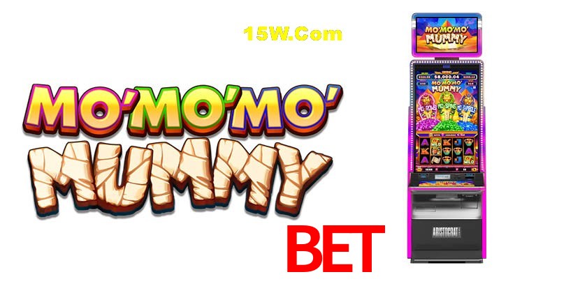 Experiência VIP 312Bet